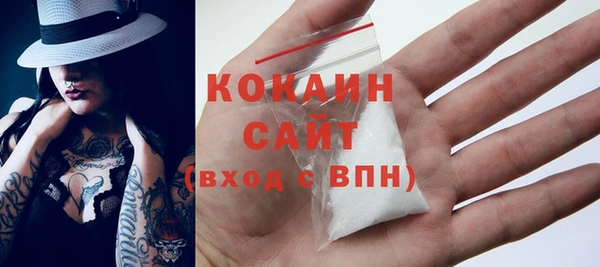 молекула духа Горняк