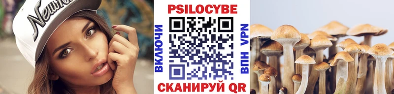 ОМГ ОМГ ссылки  цена   Мценск  Галлюциногенные грибы мицелий 