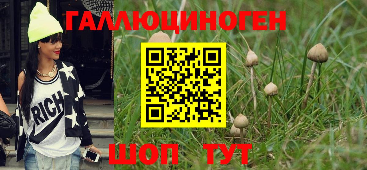 Псилоцибиновые грибы ЛСД  Мценск 