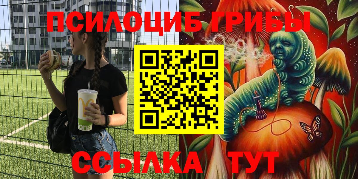 Галлюциногенные грибы GOLDEN TEACHER  Псилоцибиновые грибы MAGIC MUSHROOMS  Мценск  Вход с VPN 